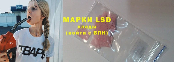 дживик Новодвинск