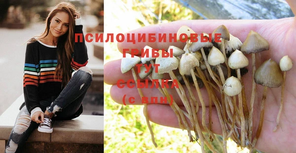 стафф Нефтегорск
