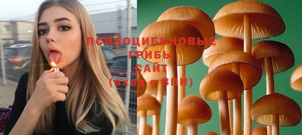дживик Новодвинск